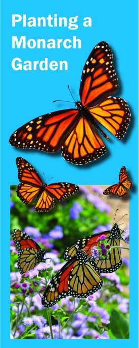 Plant a Monarch Garden « North & South Rivers Watershed Association