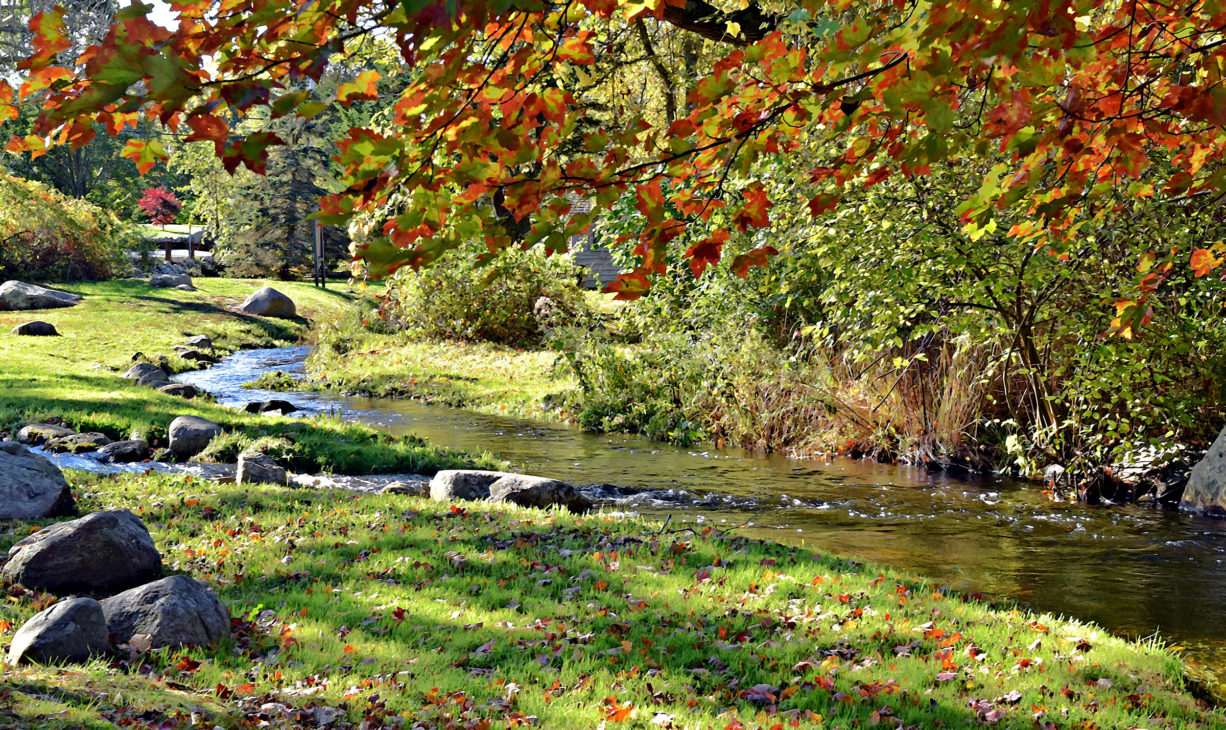 Herring Run Park - Pembroke - North And South Rivers Watershed Association