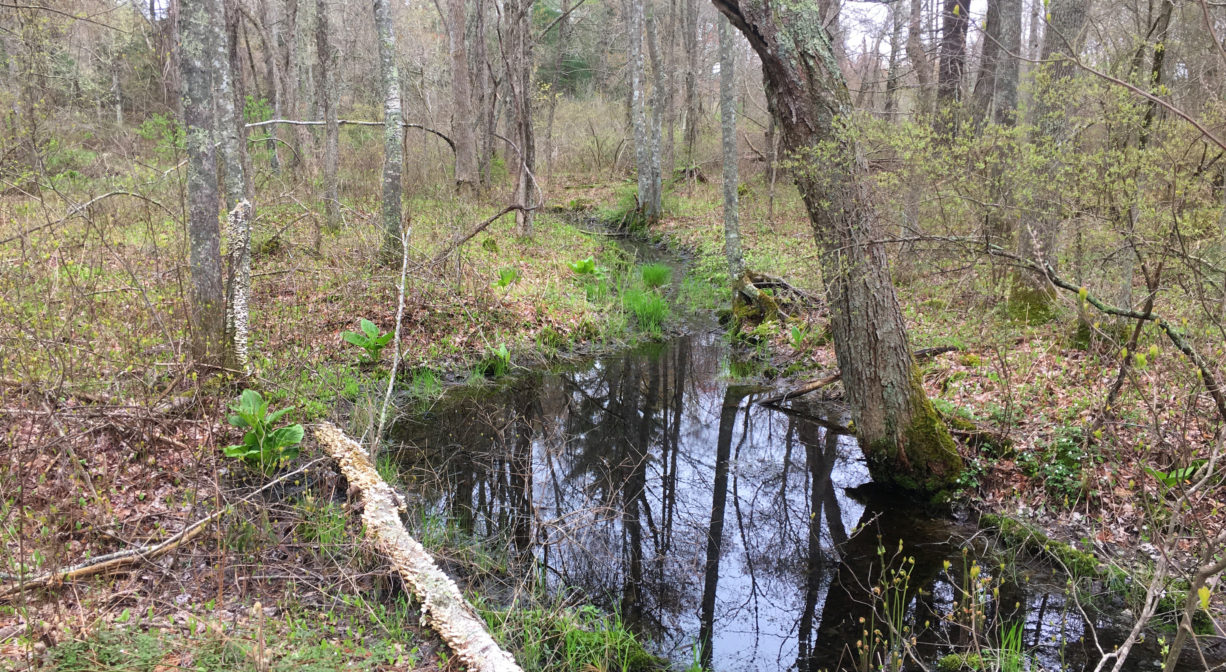 Willow Brook Farm Preserve - North and South Rivers Watershed Association