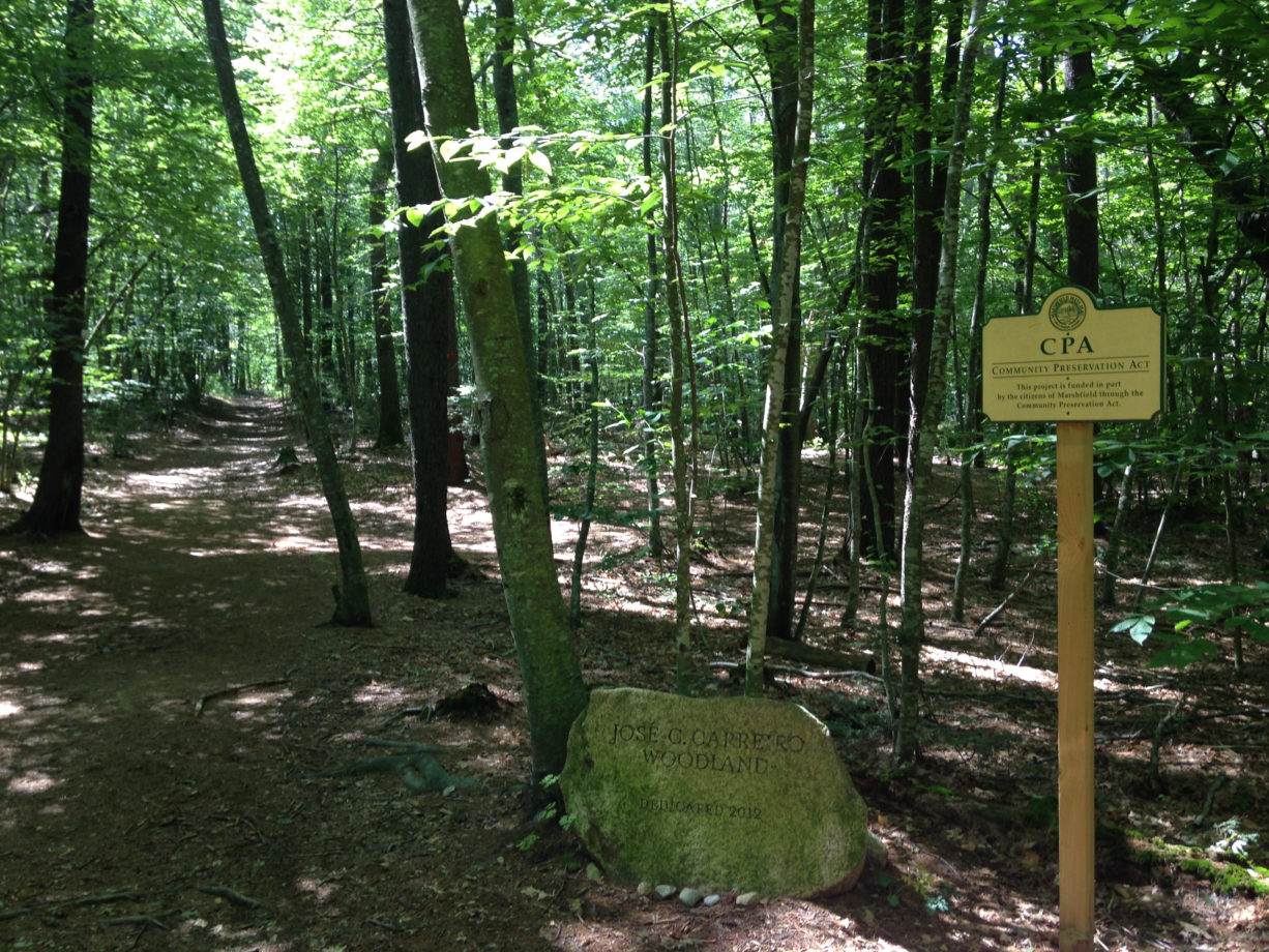 Jose Carreiro Woodland - North and South Rivers Watershed Association