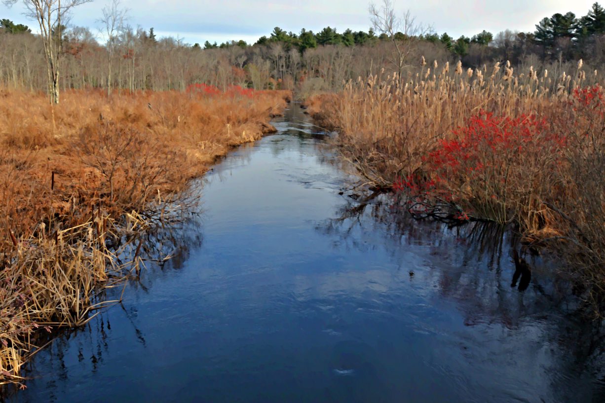 Maquan Pond and Cranberry Cove - North and South Rivers Watershed