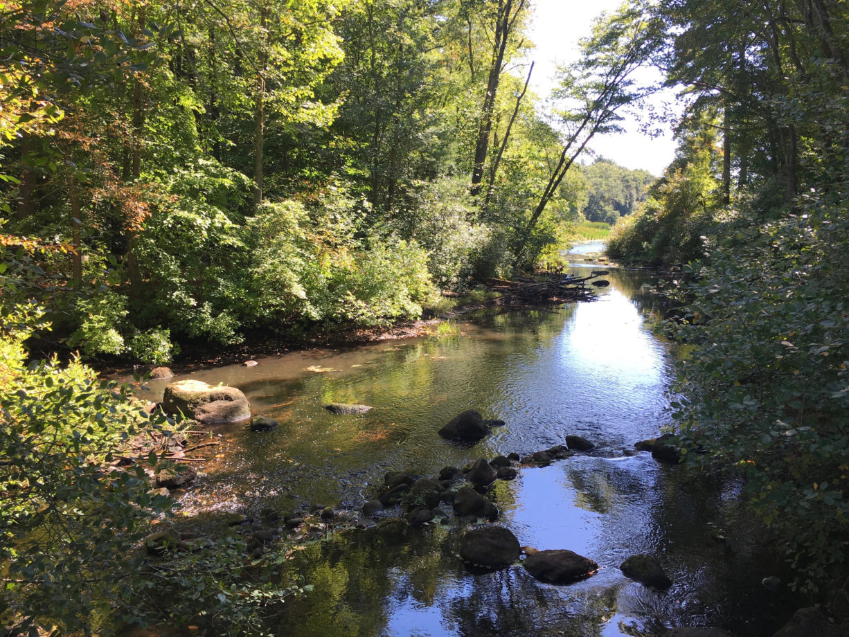 The Hidden Gems of Hanover’s Forge Pond Park - North and South Rivers ...