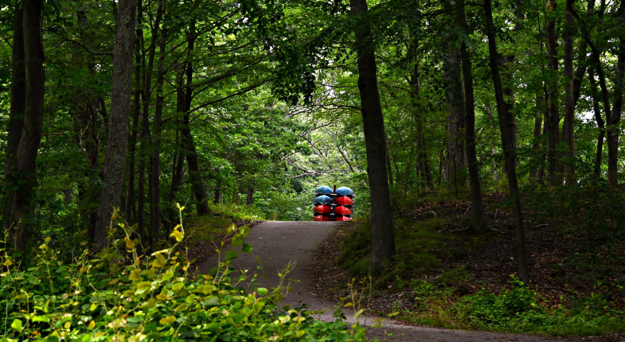 A photograph of a paved trail through green woodlands, with a kayak trailer in the distance.
