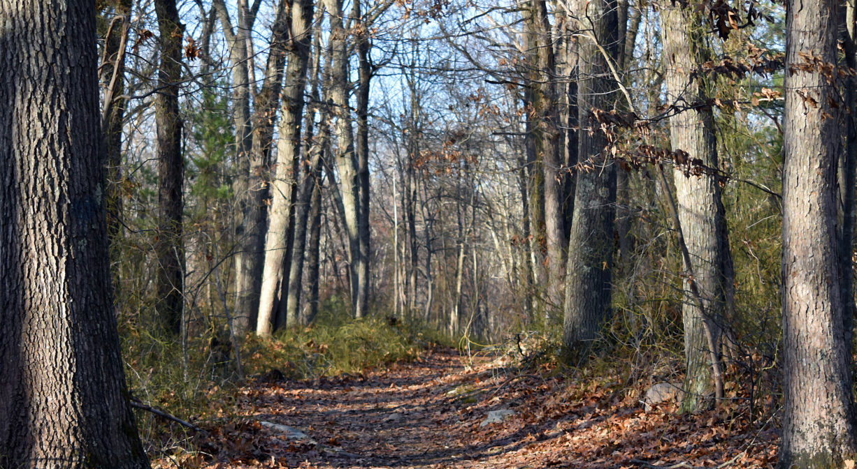 Pond Meadow Park - North and South Rivers Watershed Association