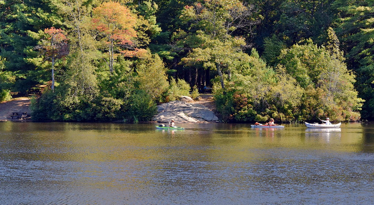 A photograph of a pond with a few kayakers.