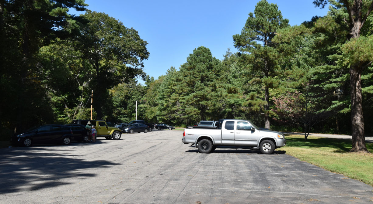 A photograph of a parking area with grass and trees.
