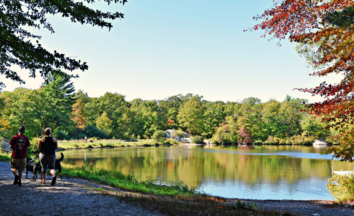 Ames Nowell State Park North And South Rivers Watershed Association