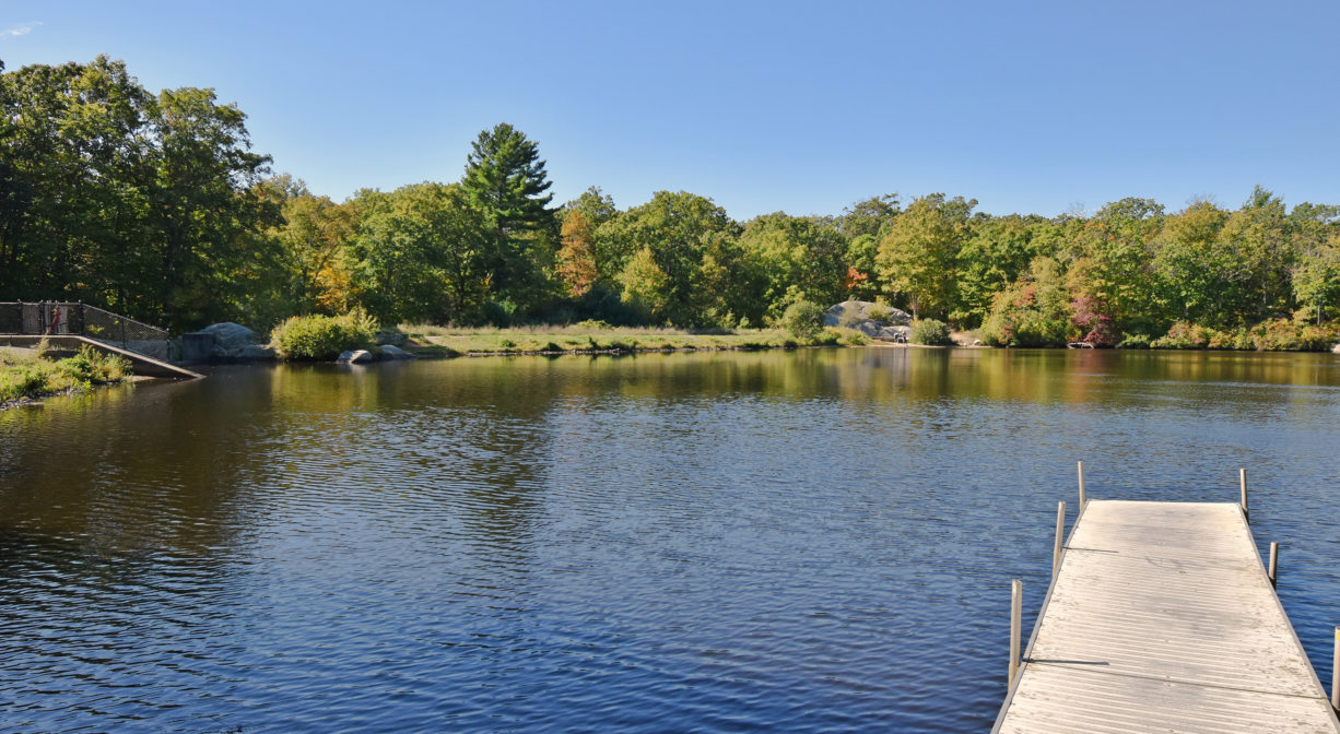 A photograph of a pond with a fishing pier.