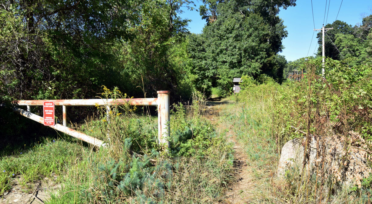 A photograph of a trail and an entrance gate with grass and trees.