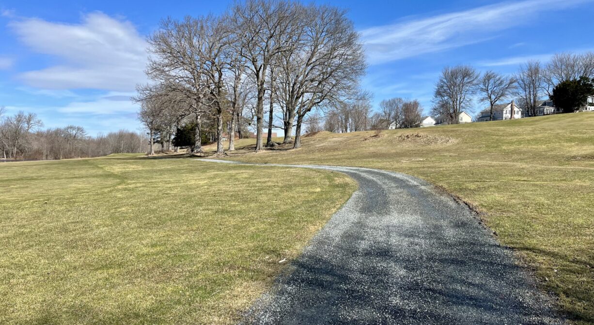 A photograph of a paved path across a grassy area with scattered trees.