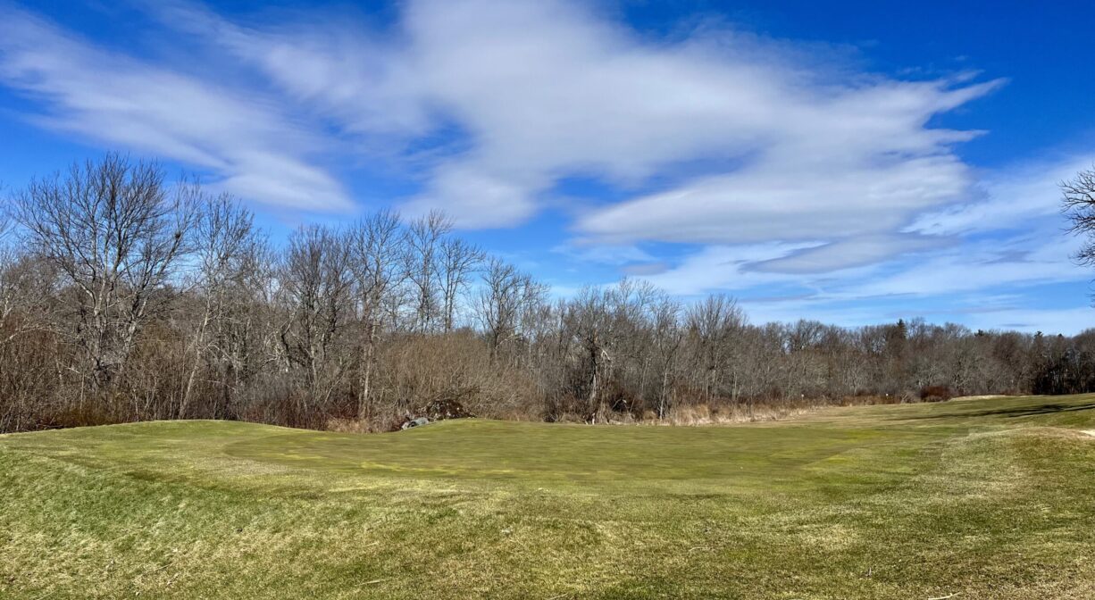 A photograph of a grassy area with a row of trees in the background.