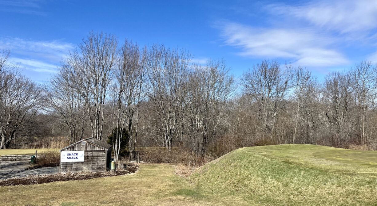 A photograph of a grassy area with a row of trees in the background.