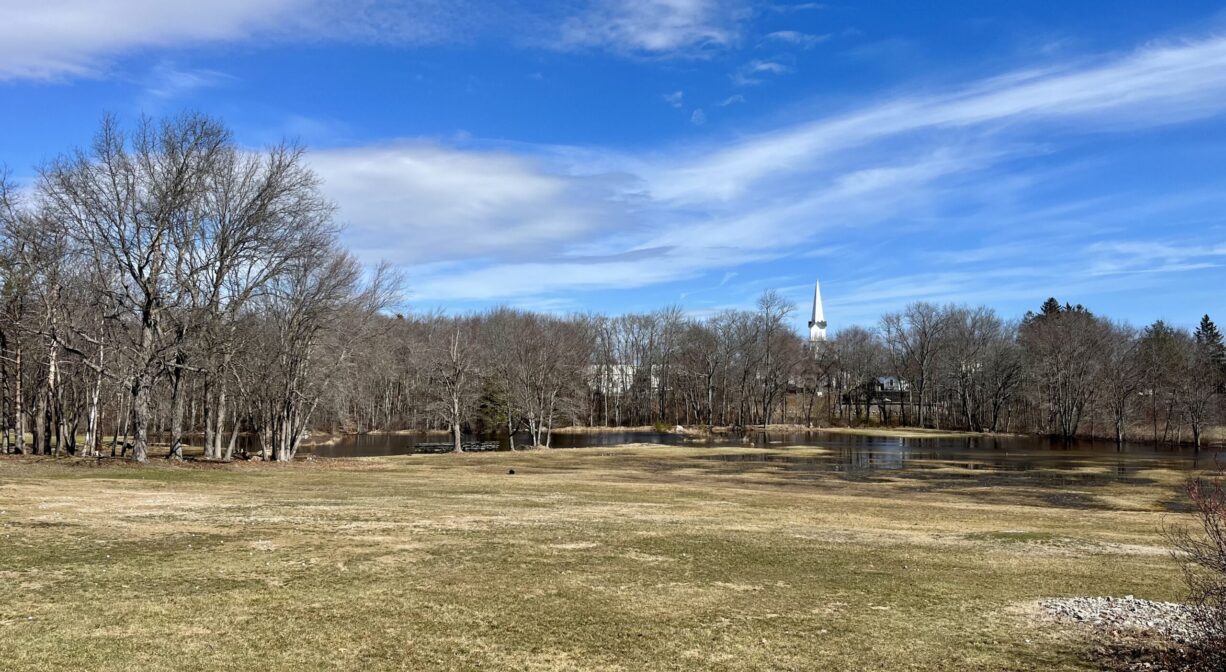 A photograph of a grassy area with a flooded river in the background.