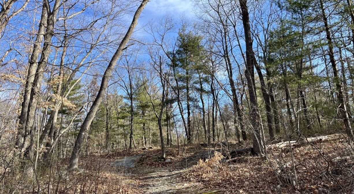 Maquan Pond and Cranberry Cove - North and South Rivers Watershed