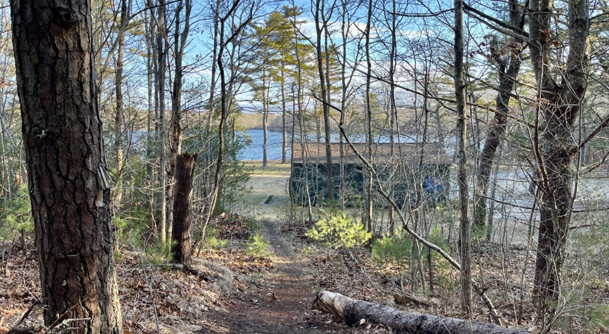 A photograph of a short forest trail leading to a pond.